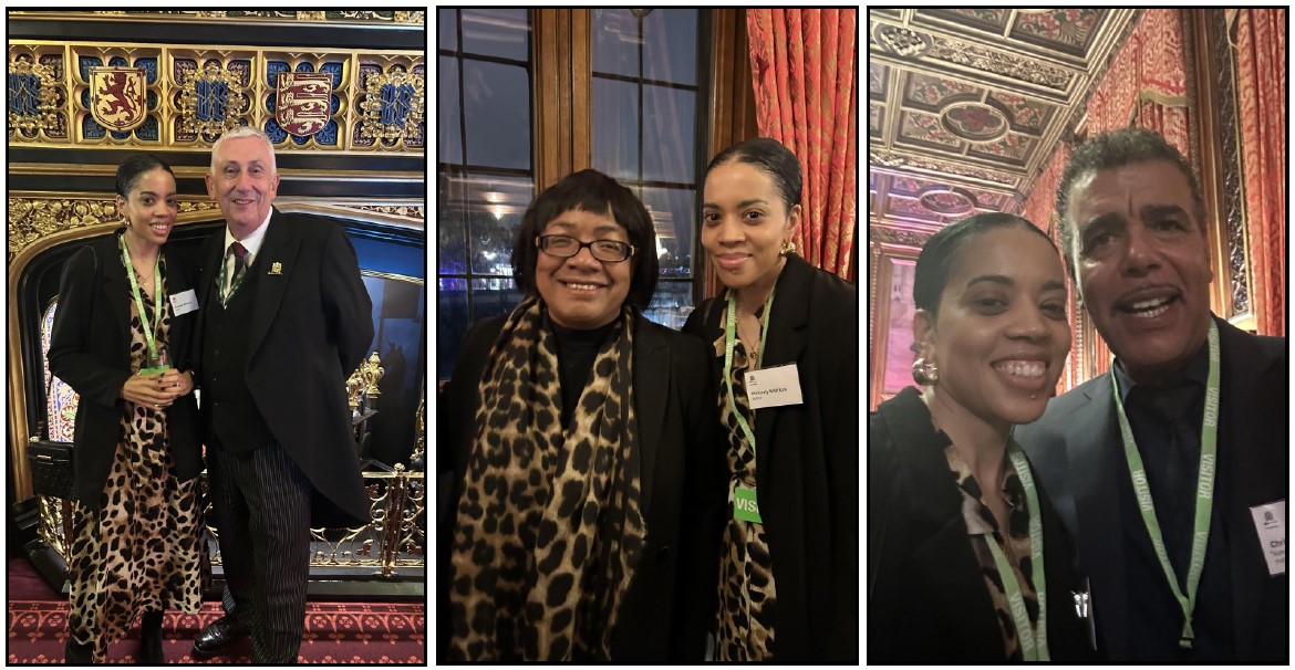 Houses of Parliament Event